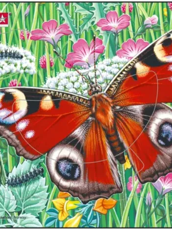 Produit Puzzle Cadre - Papillon Image