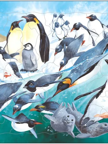Produit Puzzle Cadre - Les Pingouins Image