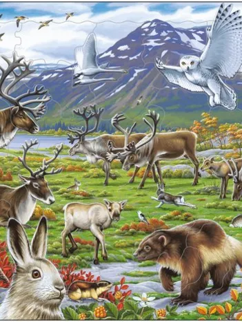 Produit Puzzle Cadre - Les Animaux de Laponie Image