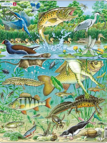 Produit Puzzle Cadre - Les Animaux de l'Etang Image