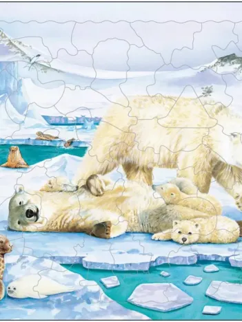 Produit Puzzle Cadre - Ours Polaire Image