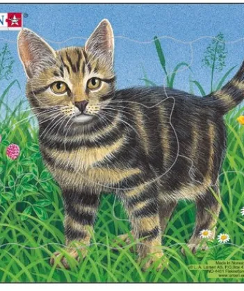 Produit Puzzle Cadre - Chaton Image