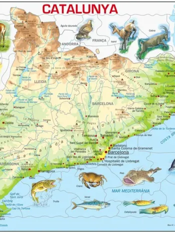 Produit Puzzle Cadre - Catalogne (Catalan) Image