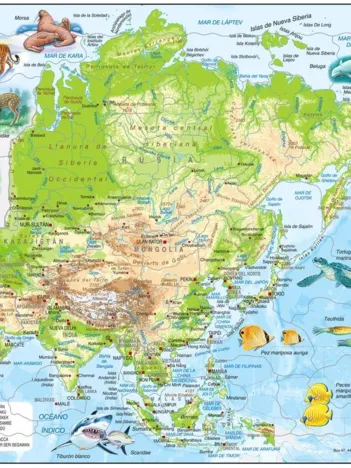 Produit Puzzle Cadre - Carte Topographique de l'Asie (Espagnol) Image