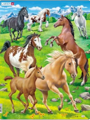 Produit Puzzle Cadre - Chevaux Image