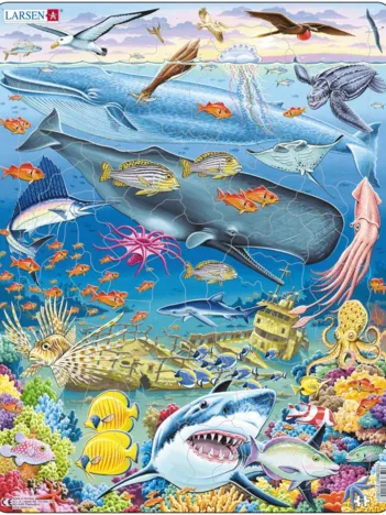 Produit Puzzle Cadre - Baleine, Requin et Fonds Marins Image