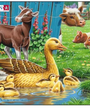 Produit Puzzle Cadre - Canards Image