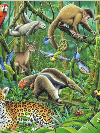 Produit Puzzle Cadre - Les Animaux de la Forêt Tropicale Image