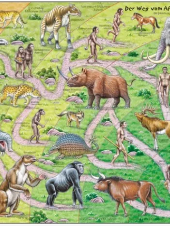 Produit Puzzle Cadre - Evolution du Singe à l'Homme (en Allemand) Image