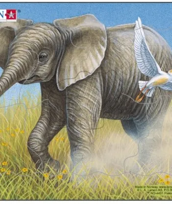 Produit Puzzle Cadre - Eléphanteau Image