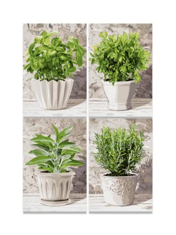 Produit 4 x 200 Pièces - Herbes Image