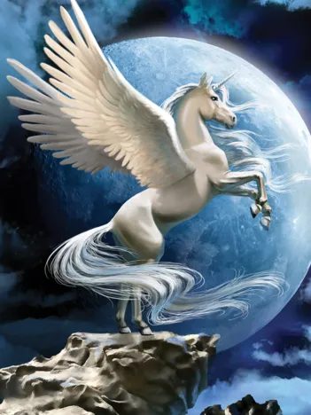 Produit Magical Unicorn Image