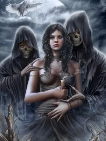 Produit Spirit of the Night Image