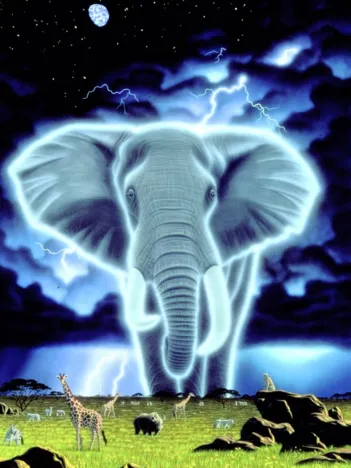 Produit Schim Schimmel - Spirit of Africa Image