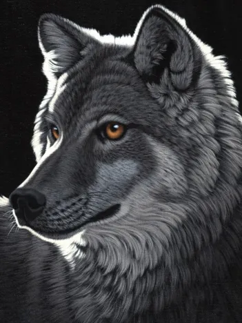 Produit Schim Schimmel - Night Wolf Image