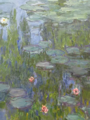 Produit Claude Monet : Nymphéas, 1915 Image