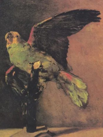 Produit Vincent Van Gogh - Le Perroquet Vert, 1886 Image