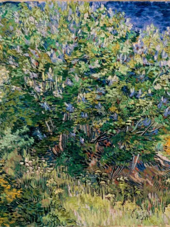 Produit Vincent Van Gogh - Lilas, 1889 Image