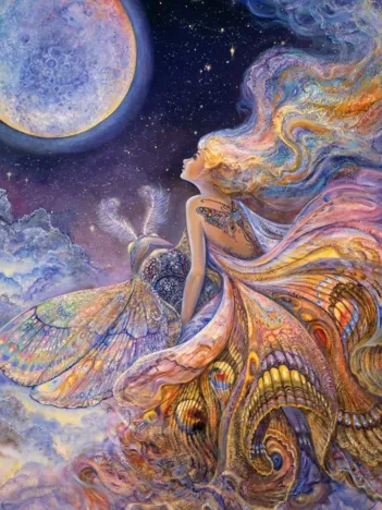 Produit Fly Me to the Moon Image