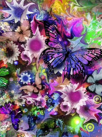 Produit Fleurs et Papillons Image