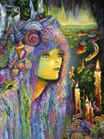 Produit Shell Maid Image