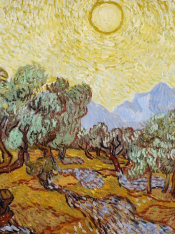 Produit Vincent Van Gogh - Les Oliviers, 1889 Image