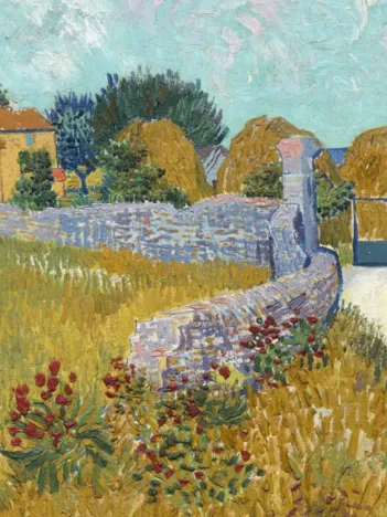 Produit Vincent Van Gogh - Ferme de Provence, 1888 Image