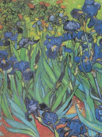 Produit Vincent Van Gogh - Saint-Remy - Les Iris, 1889 Image
