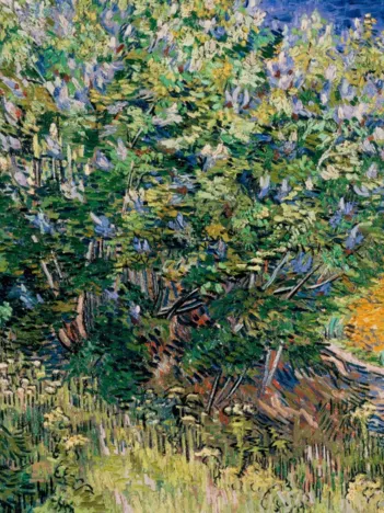 Produit Vincent Van Gogh - Lilas, 1889 Image