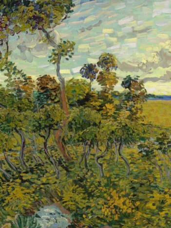 Produit Vincent Van Gogh - Coucher de Soleil à Montmajour, 1888 Image