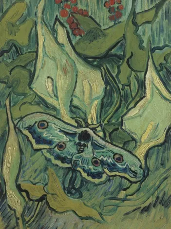 Produit Vincent Van Gogh - Giant Peacock Moth, 1889 Image