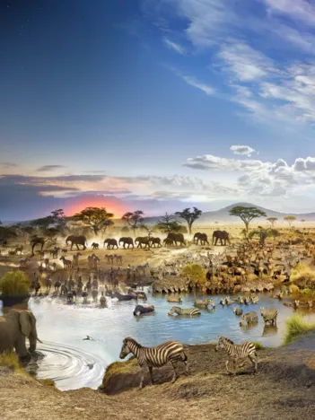 Produit Serengeti National Park, Tanzania, Day to Night TM Image