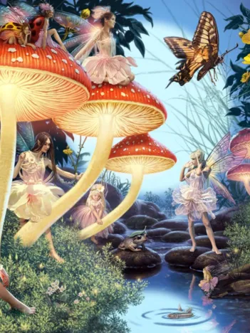 Produit Ruisseau de Champignons Image