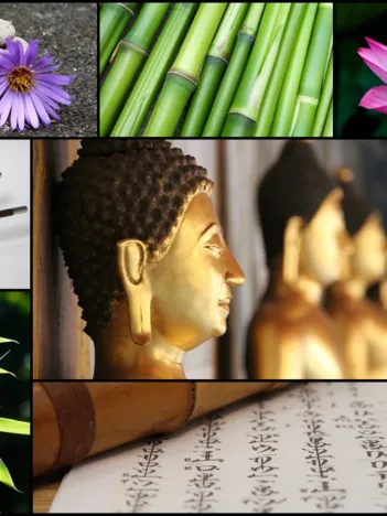 Produit Collage - Ambiance Zen Image