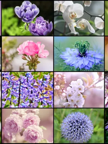 Produit Collage - Fleurs de Printemps Image