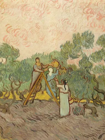Produit Vincent Van Gogh - Femmes ramassant des Olives, 1889 Image