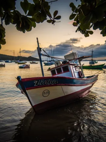 Produit Coucher de Soleil sur la Marina Image