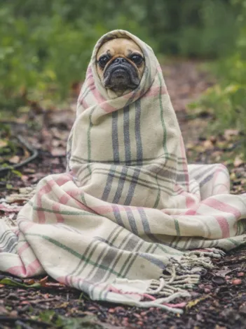 Produit Que la Force soit avec moi ! Image