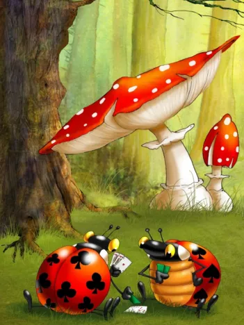 Produit François Ruyer - Poker des Coccinelles Image