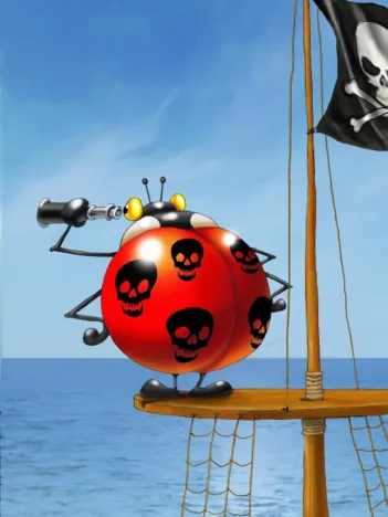 Produit François Ruyer - Coccinelle Pirate Image