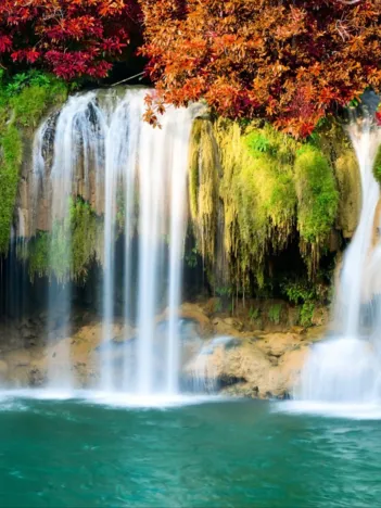 Produit Cascade en Forêt Image