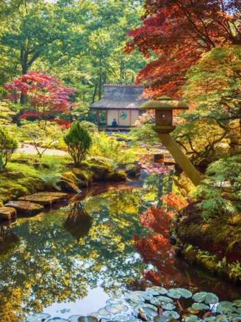 Produit Forêt Zen Image