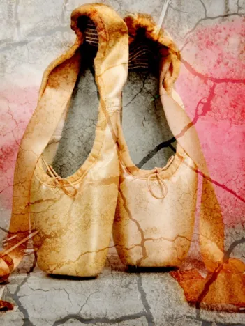 Produit Vintage Ballet Shoes Image