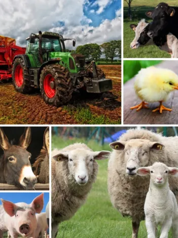 Produit Collage - Animaux de la Ferme Image