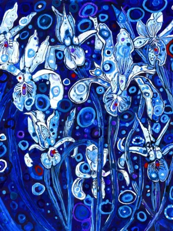 Produit Blue Iris Image