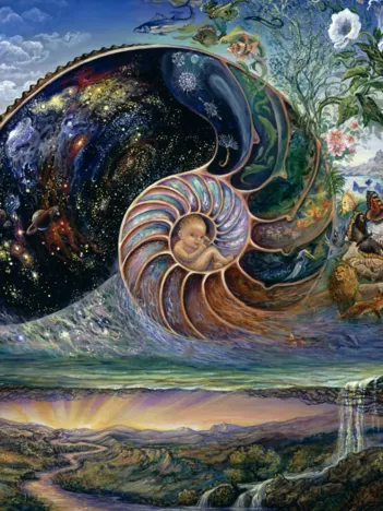 Produit Josephine Wall - Nautilus Image
