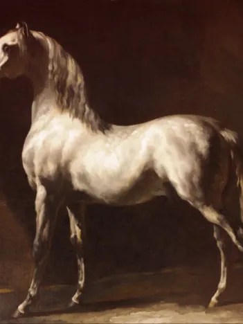 Produit Théodore Géricault : Cheval Arabe Gris-Blanc Image