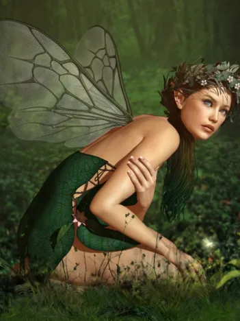 Produit Nymphe de la Forêt Image