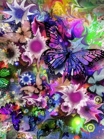 Produit Fleurs et Papillons Image