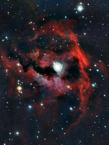 Produit Gros plan de la tête de la Nébuleuse de la Mouette Image